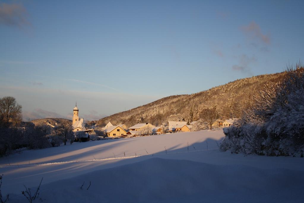 Hotel-Gasthof Zur Krone Riedenburg Buitenkant foto